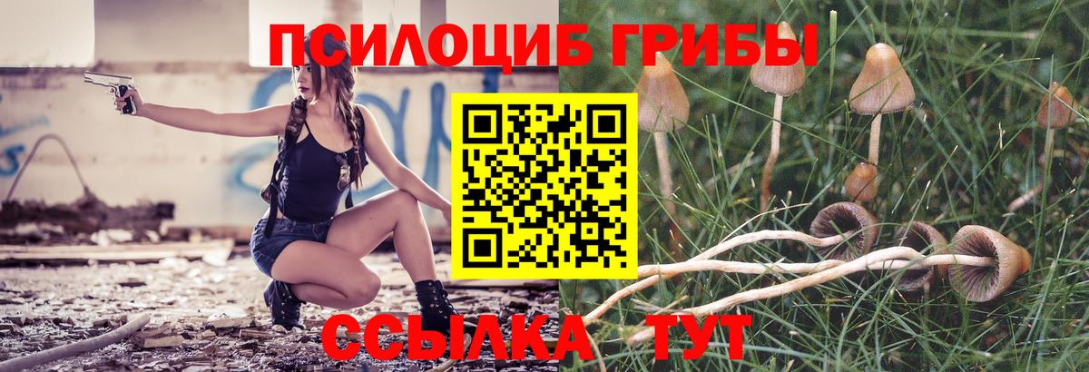 Гулькевичи  Галлюциногенные грибы Magic Shrooms  цена   Вход с VPN 